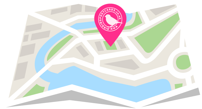 Bird spotting locations